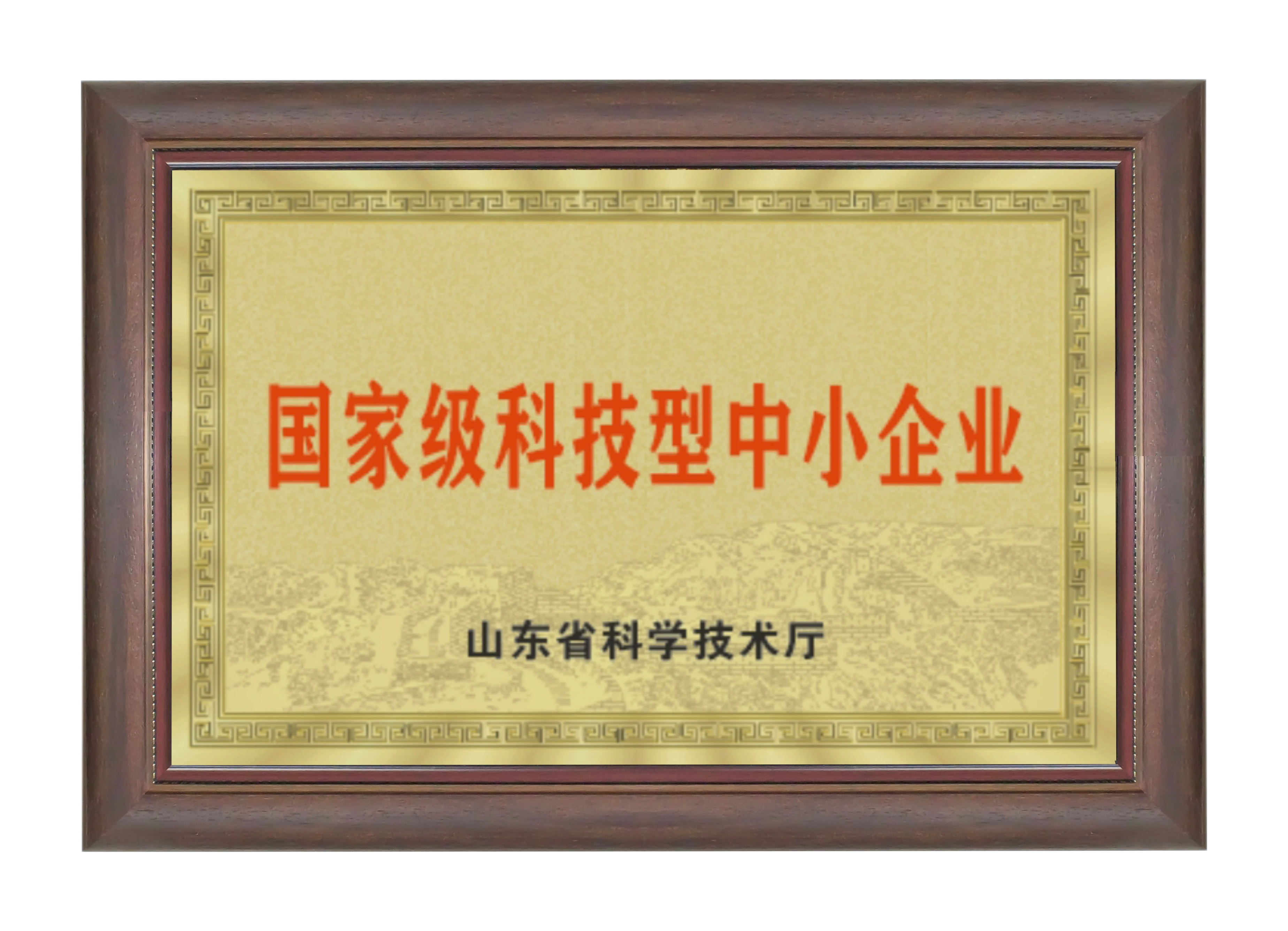 荣誉资质